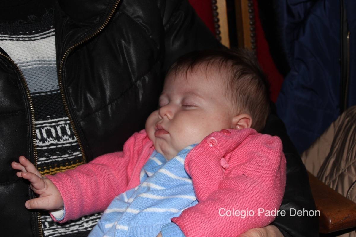 2014 03 14 BAILES PRIMARIA (117)